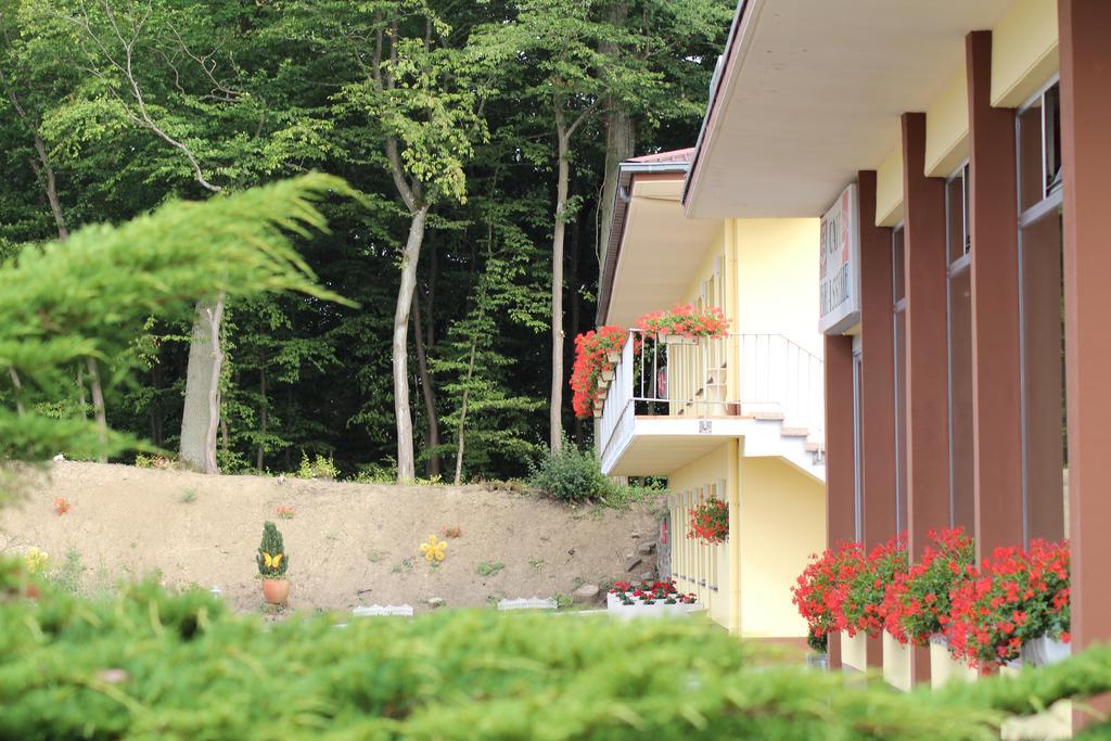 Hotel Drive In Motel Capellen Extérieur photo